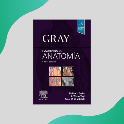 Gray Flashcards De Anatomía 4 Edicion