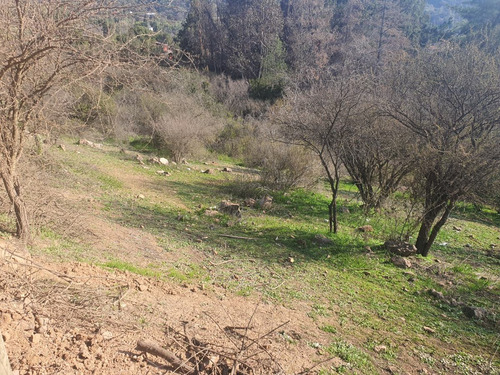 Lomas Del Águila (6) Parcelas, Derechos De Agua-