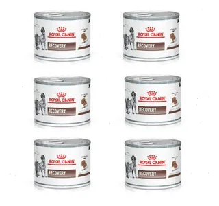 Alimento Royal Canin Recovery P/ Gato O Perro Lata 195g X 6u