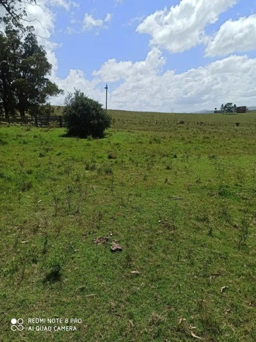 Chacra - Laguna Del Sauce