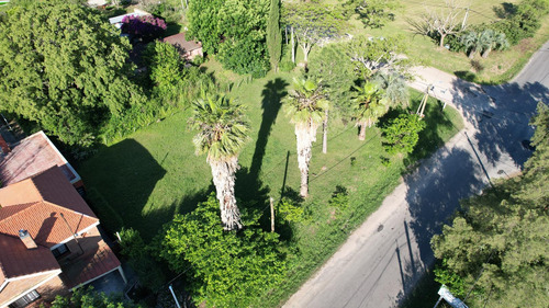 Terreno En Real De San Carlos