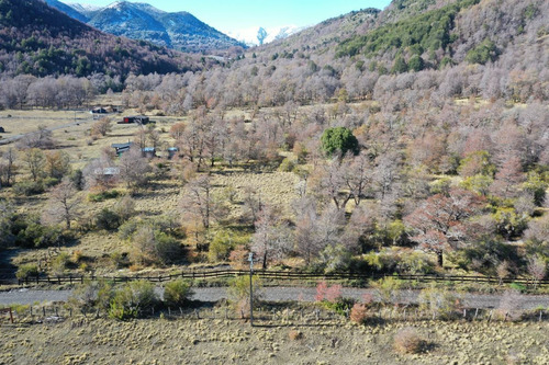 Terreno 5.000 M2, Sector Caracoles, Malalcahuello