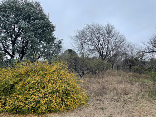 Vendo Terreno Alpa Corral