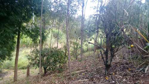 Sitio Com 50.000 Metros Quadrados Em Caxambu Sul De Minas , 09 Klm Da Cidade, Muita Água,bom Para Piscicultura, 03 Lagos Com Peixe. - 246