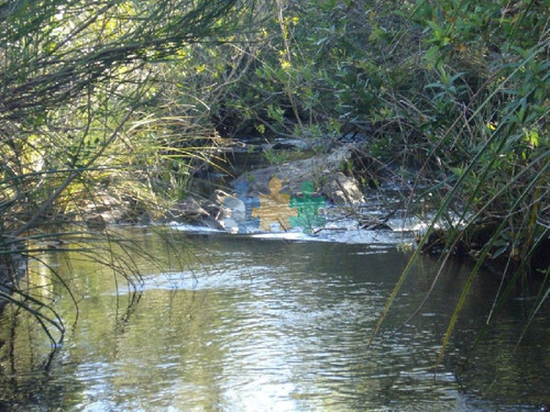 Imagen 9 de 18 de Campo 96 Has En Carape Cuenta Con Costa De Arroyo. - Ref : Eqp2775