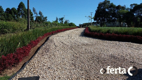Imagem 3 de 15 de Chacara Com Casa - Mariental - Ref: 321 - V-321