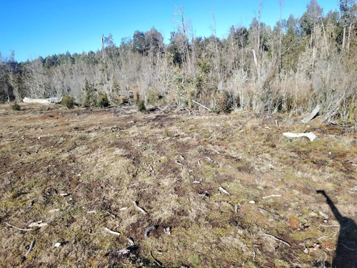 Parcela 5.000 M2, Comuna De Maullín, Provincia De Llanquihu