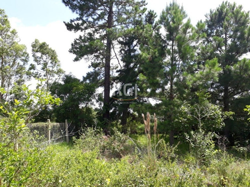 Terreno Em Taruma - Bt8378