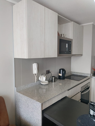 Amoblado O Semi, Arriendo Hermoso Y Cómodo Depto, Est. Bodg