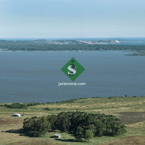 Venta De Lote En Laguna Del Sauce, Divino Lugar. - Ref: 166820