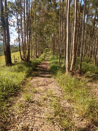 Imagem 5 de 14 de 3- Invista No Certo Terrenos Com Otima Topografia!