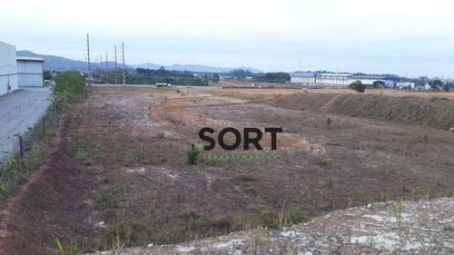 Imagem 11 de 12 de Terreno De Frente Para Rod. Antônio Heil Distante 3 Km Da Br-101 / Bairro Itapava - Te0130