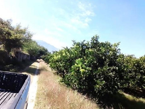 Imagen 12 de 23 de Venta De Terreno Puente De Ixtla Precio A Negociar, Con Titulo De Agua H