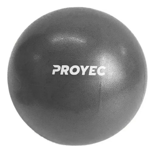Pelota Esferodinamia Pilates Yoga De 25cm Proyec Gym Ball