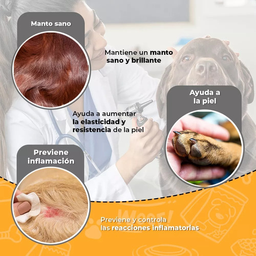 Kit Piel Y Pelo Dog Ms Aceite Salmon 250ml + Derma Care 60ts
