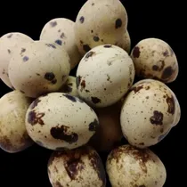 Comprar Huevos Frescos De Codornices