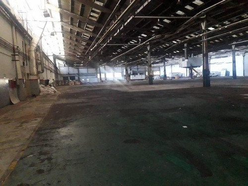 Imagen 14 de 17 de Galpon - Haedo