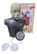 Comprar Rcp Dea Torso Rcp Más Maqueta De Dea Más Láminas Didácticas.