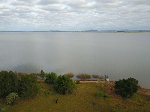 Imagen 4 de 20 de Chacra 1 Dormitorio En Laguna Del Sauce, Punta Ballena