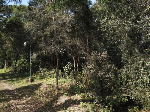 Terreno En Venta Los Perales Horco Molle