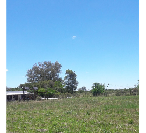 Hermoso Lote En Barrio Casuarinas De Garibaldi, 1500 M2, 641 Y 119