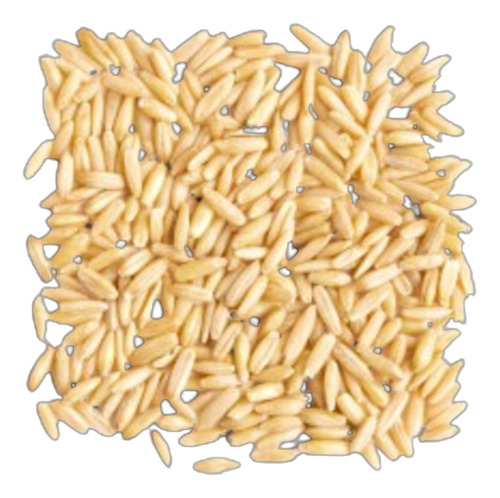 Avena Integral 500grs. (grano, Semillas)