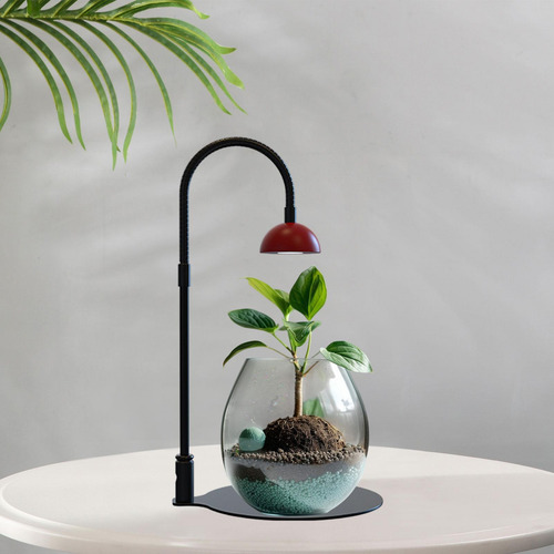 Indoor Plants Light With Timer Function Easy To Use Tabletop