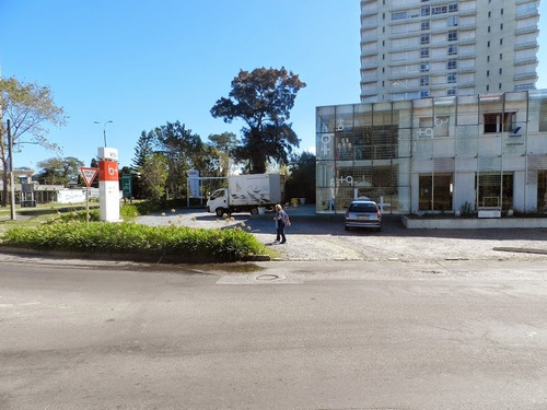 Local En Venta Y Alquiler En Roosevelt