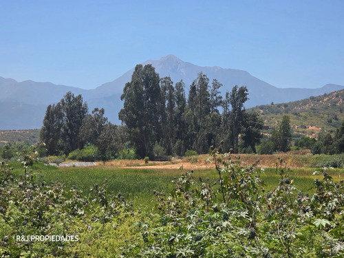 Parcela 5.000 M2 Con Casa, Limache