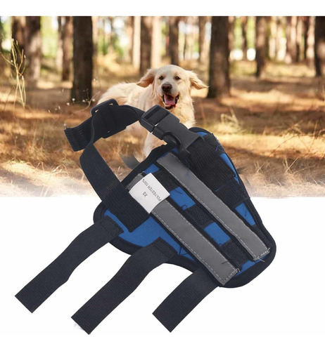Rodilleras Para Perros, Pata Trasera Izquierda, Corvejón, Pa