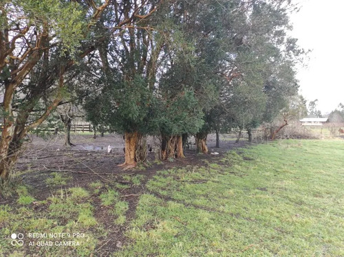 Parcela En Venta | 5.000 M² | Riñinahue - Lago Ranco