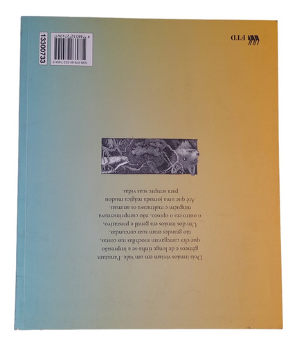 Livro Fábula De Dois Irmãos Editora Ftd, Livro Em Ótimo Estado, Eveline Hasler E Kathi Bhend (Usado)