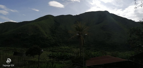 Imagen 5 de 24 de Se Vende Finca En Guayabita Turmero Estado Aragua/yessika Berrios 04249155109
