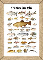 Comprar Pesca Cuadros Carteles Posters Publicidades    X385