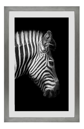 Lámina Zebra Fondo Negro 60x40cm