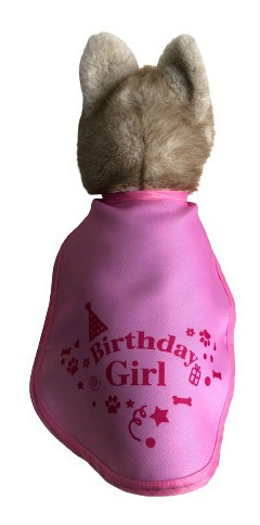 Ropa Pechera Mascotas Perro Cumpleaños Birthday Girl - 20cm