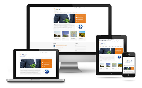 Diseño Web Para Empresas. Presupuesto