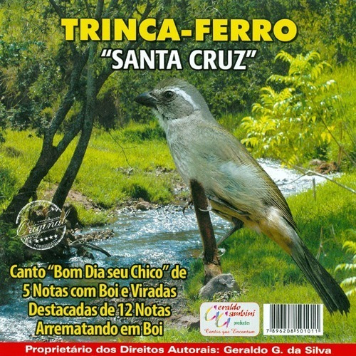 Cd - Trinca-ferro - Santa Cruz | MercadoLivre