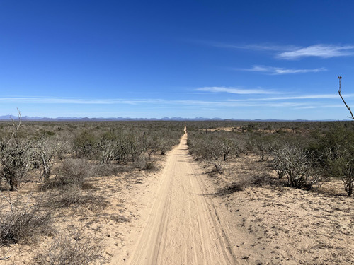 Km 43, El Mezquite De Don Dominguez