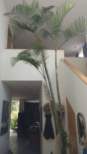 Imagen 8 de 30 de Excelente Residencia En Venta En Fracc Los Sueños A Un Lado