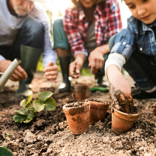 Imagen 2 de 5 de Rastrillo De Mano Jardinería X 10 Unidades