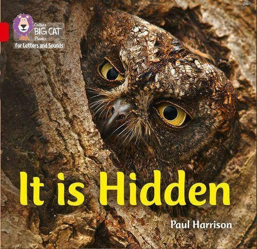 It Is Hidden - Big Cat Phonics For Letters And Sounds Kel  