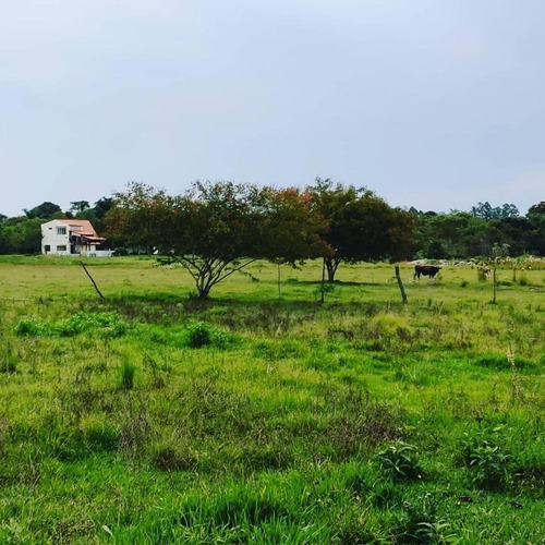 Imagem 10 de 17 de Chácara Com 8 Dormitórios À Venda, 48000 M² - Imóvel Cataratas - Gleba Ii - Foz Do Iguaçu/pr - Ch0006
