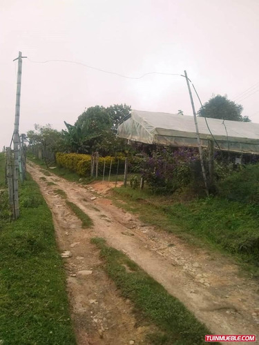 Fincas En Venta