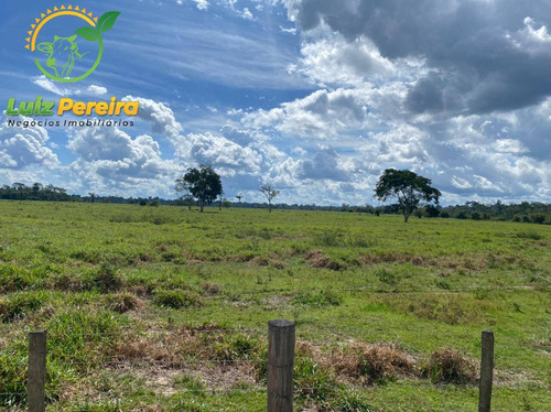 Imagem 2 de 5 de Fazenda À Venda Em Tucuruí - Pa - 2.420 Hectares P/lavoura De Soja - 1832