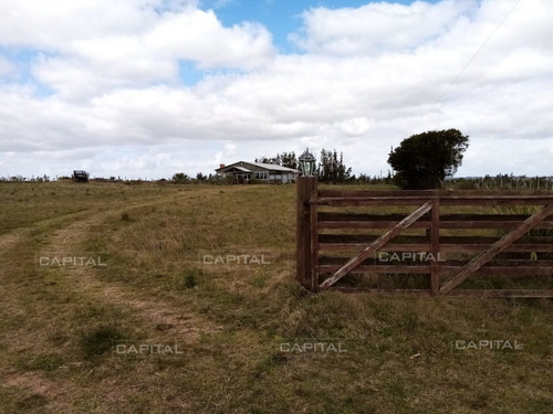 Imagen 14 de 19 de Chacra En Venta De 5 Hectáreas Con Tajamar Y Casa - San Carlos San Carlos