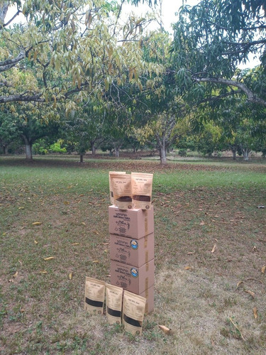 Café Caturra En Grano Tostado, Finca Bella Vista, 1 Kg