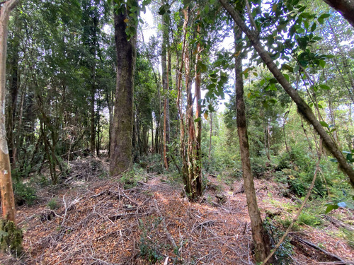 Venta De Parcela En Sendero Tres Puentes (70073)