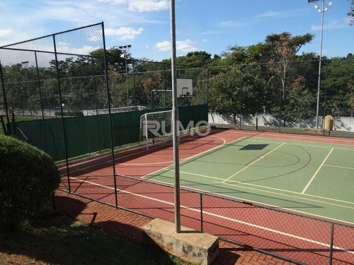 Terreno À Venda Em Betel - Te005309