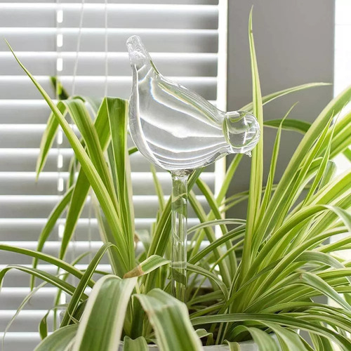 6 Piezas Globos De Riego De Plantas Bombillas De Autorriego Color Transparent